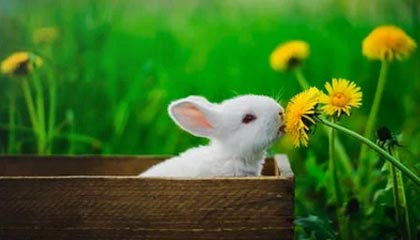 九游-高尔夫大师赛：中国球手首次跻身周末轮，高尔夫中国业余公开赛